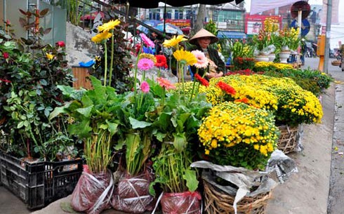 Dạo phiên chợ Bưởi cuối năm