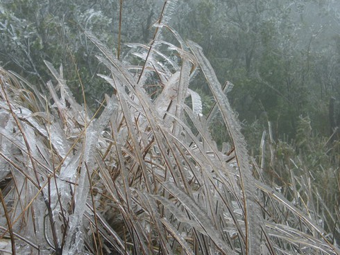 Băng tuyết phủ Mẫu Sơn