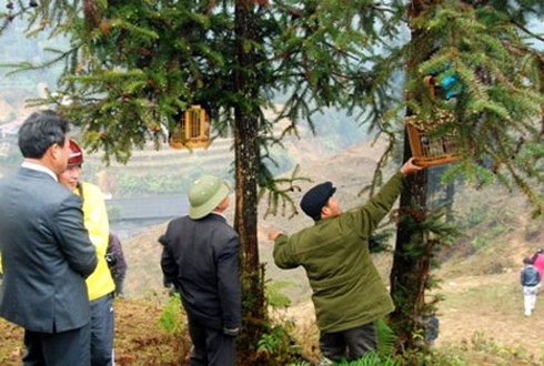 Hội “gầu tào”người Mông ở Pha Long