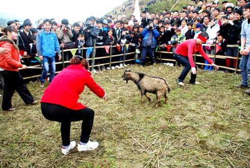 Tưng bừng hội xuống đồng Tả Van ( Lào Cai)