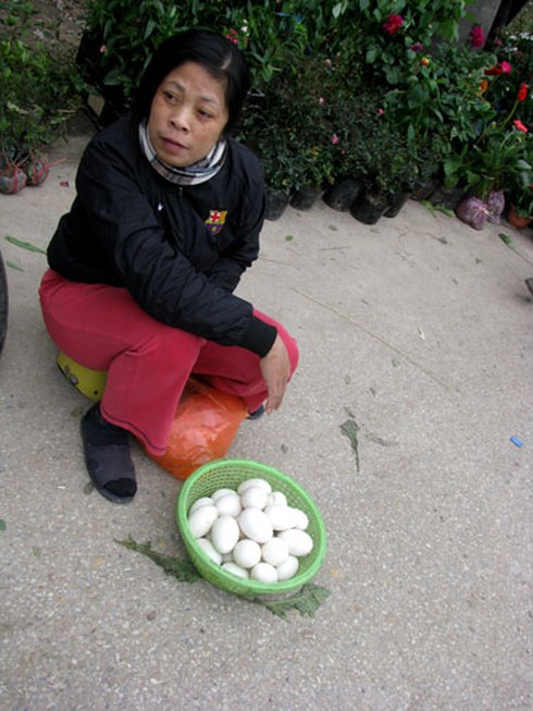 Quan họ vẫn `ngả nón hứng tiền` ở hội Lim