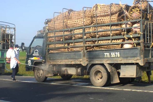 Nhiều vụ vận chuyển gia súc, trứng không rõ nguồn gốc