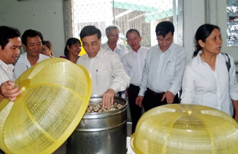 Đồng Nai: Giám sát bếp ăn tập thể tại 30 KCN