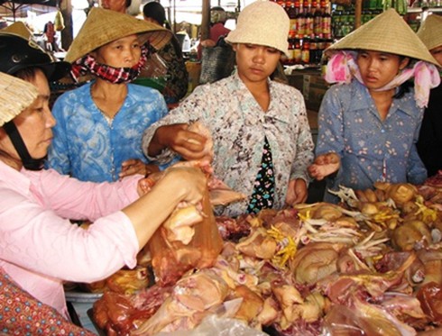 Nhiều dịch bệnh đe dọa bùng phát