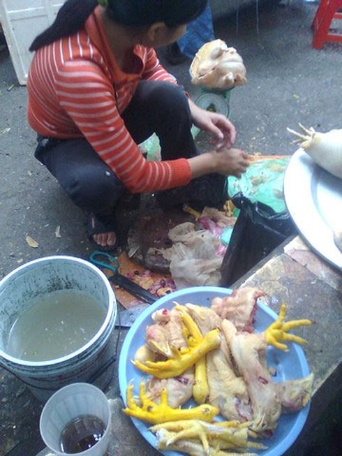 Năm 2013 sẽ có vắc-xin A/H5N1 `made-in-Vietnam`