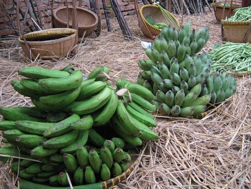 Hương sắc ba miền hội tụ giữa Sài Gòn