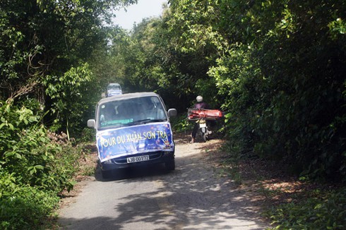 Du xuân trên đinh Sơn Trà