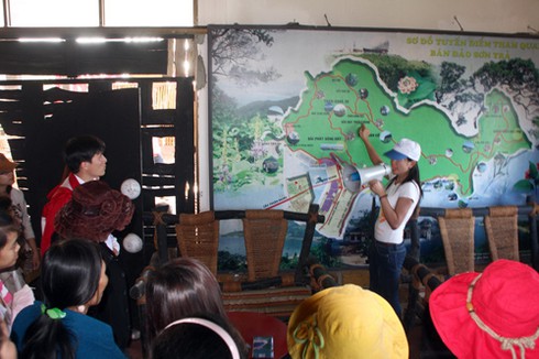 Du xuân trên đinh Sơn Trà