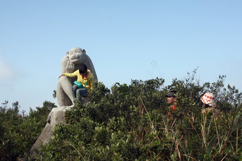 Du xuân trên đinh Sơn Trà