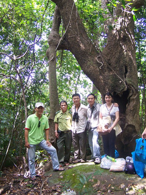 Du xuân trên đinh Sơn Trà
