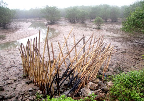 Hôm nay, tòa án TP.Hải Phòng kiểm điểm trách nhiệm
