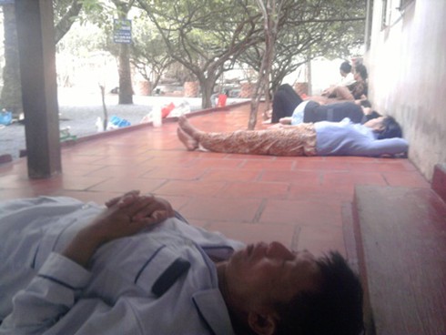 Nhiều người mất mạng tại `khu vườn kỳ lạ`