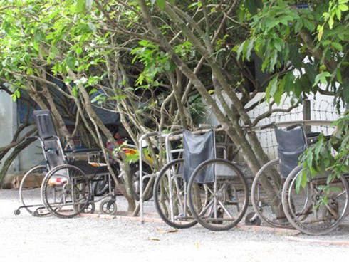 Nhiều người mất mạng tại `khu vườn kỳ lạ`