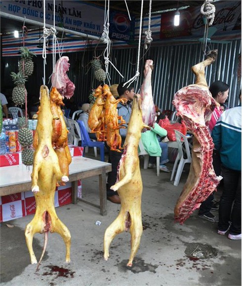 Tôi xin kiếu đi chùa ngày lễ