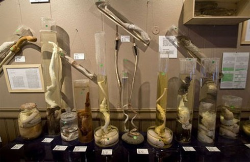 Những bảo tàng kì quái trên thế giới