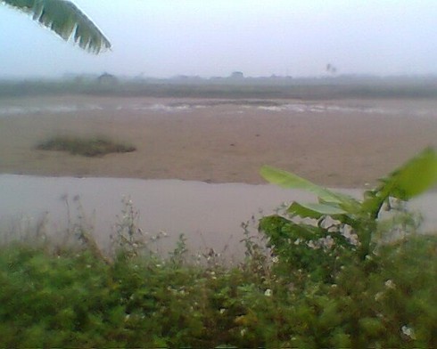 Bộ TNMT sắp kiểm tra việc giao, thuê đất ven biển