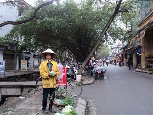 Nơi biển cấm bị sỉ nhục ở Hà Nội!