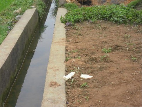 Cụ ông bị xe tông rồi bỏ mặc đến chết bên đường