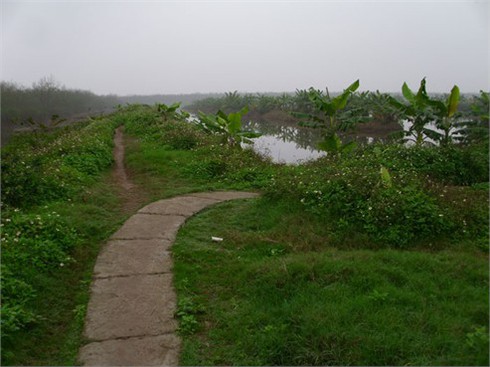 UBND huyện Tiên Lãng làm việc với gia đình ông Vươn