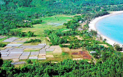 Đà Nẵng: 88 tỉ đồng giải toả mặt bằng dự án làng Vân