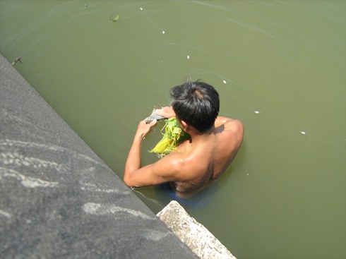 Cá tôm lại đổ về sông Nhà Bè