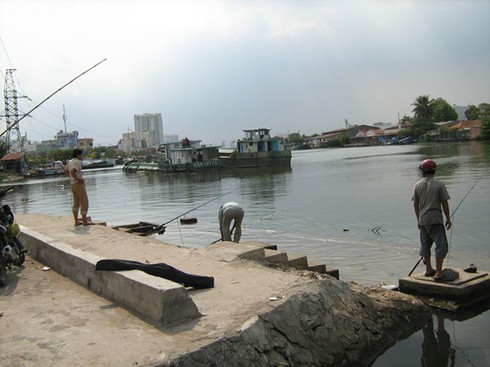 Cá tôm lại đổ về sông Nhà Bè