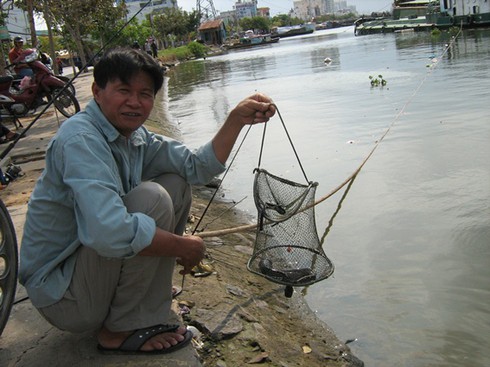 Cá tôm lại đổ về sông Nhà Bè