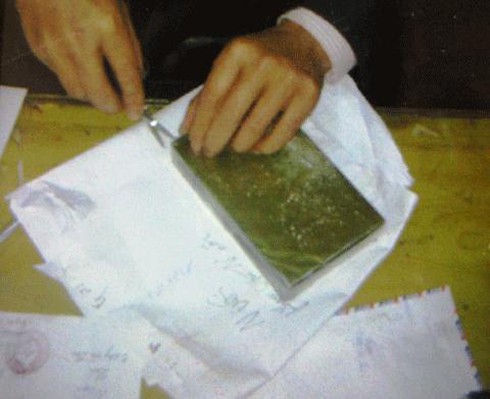 Vờ đi du lịch để buôn bán ma túy