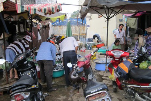 Giá cá tăng vù vù vì… heo ế!