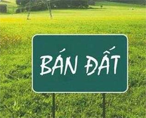 TP.HCM: Khởi tố 'trùm' bán đất nông nghiệp trái phép