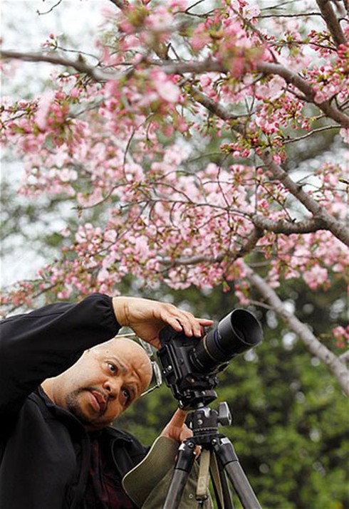 Washington D.C huyền ảo trong mùa hoa anh đào