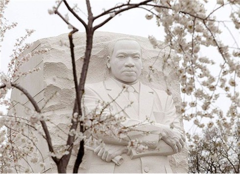 Washington D.C huyền ảo trong mùa hoa anh đào