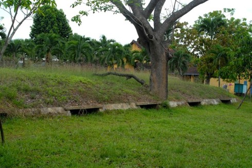 Thăm di tích lô cốt Mỹ - Ngụy tại ngã tư Đức Hòa, Long An