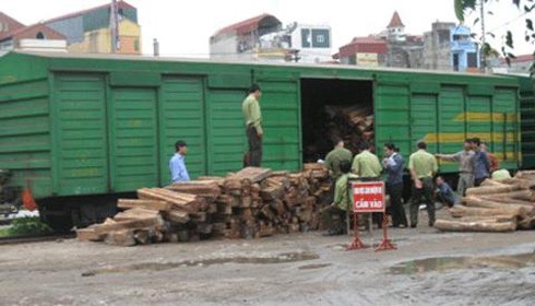 Vận chuyển trai phép khối lượng lớn gỗ quý