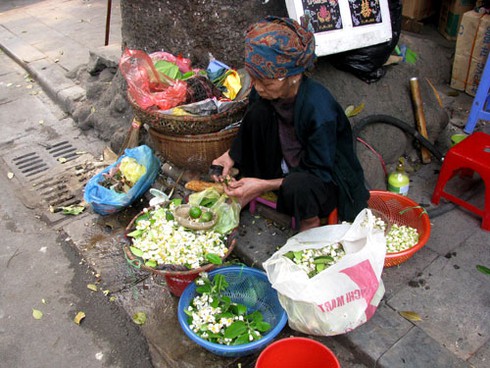 Hà Nội nồng nàn hoa bưởi tháng 3