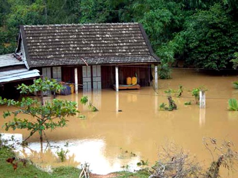 Lũ đang lên trên các sông Nam Trung bộ - Tây Nguyên