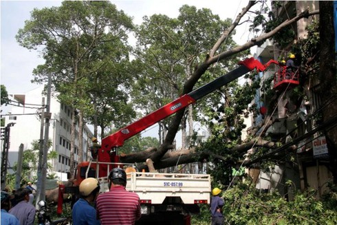 Bão Pakhar càn quét ngoài sức tưởng tượng