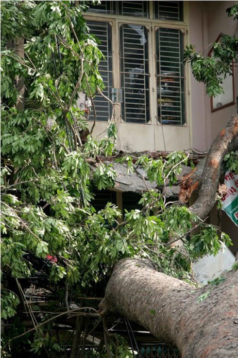 Bão Pakhar càn quét ngoài sức tưởng tượng