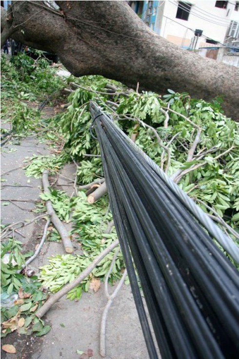 Bão Pakhar càn quét ngoài sức tưởng tượng