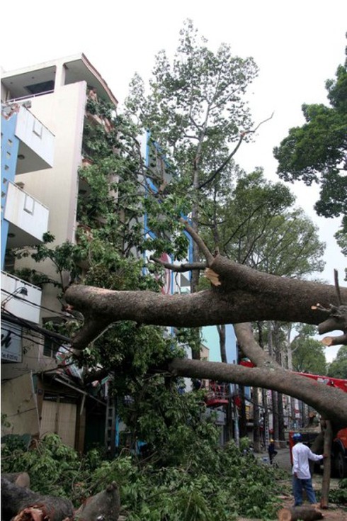 Bão Pakhar càn quét ngoài sức tưởng tượng