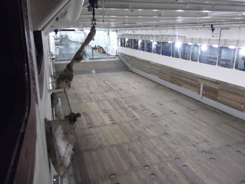 Thái Lan sắm tàu đổ bộ hạng nặng chở trực thăng