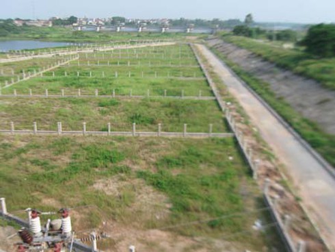 Cẩm Đình – Hiệp Thuận: Vườn sinh thái hay… vườn hoang?