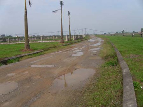 Cẩm Đình – Hiệp Thuận: Vườn sinh thái hay… vườn hoang?