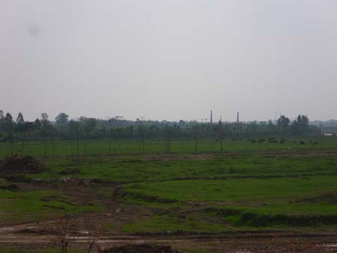 Cẩm Đình – Hiệp Thuận: Vườn sinh thái hay… vườn hoang?