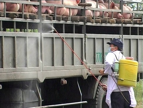 Đà Nẵng cấm vận chuyển gia súc, gia cầm vào nội thành