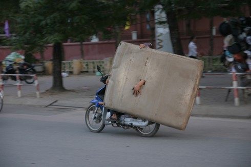 Những hình ảnh quái chiêu giao thông Hà Nội