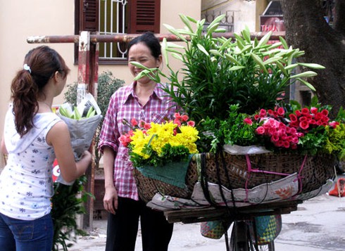 Loa kèn quyến rũ đầu hè