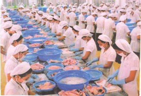 DN thủy sản vạ lây vì Bianfishco