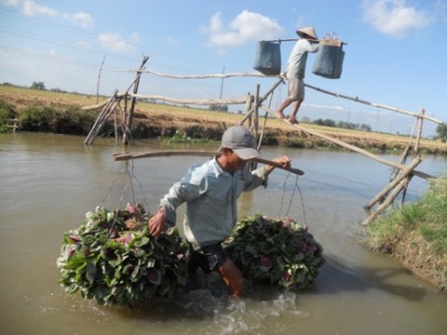 Xem ảnh đồng bào dân tộc tự bấm máy