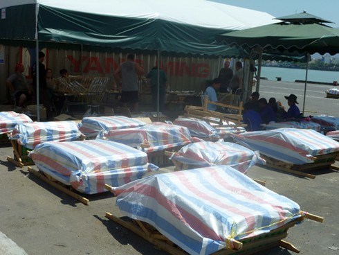 Pháo hoa quốc tế Đà Nẵng: Pháo đã `lên nòng`